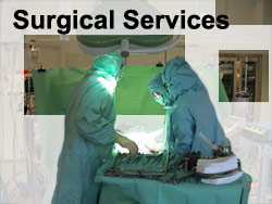 Surgical Services